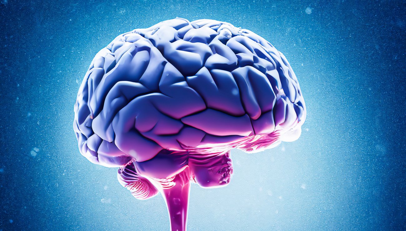 Read more about the article l’impact de la programmation neurolinguistique dans vie professionnelle